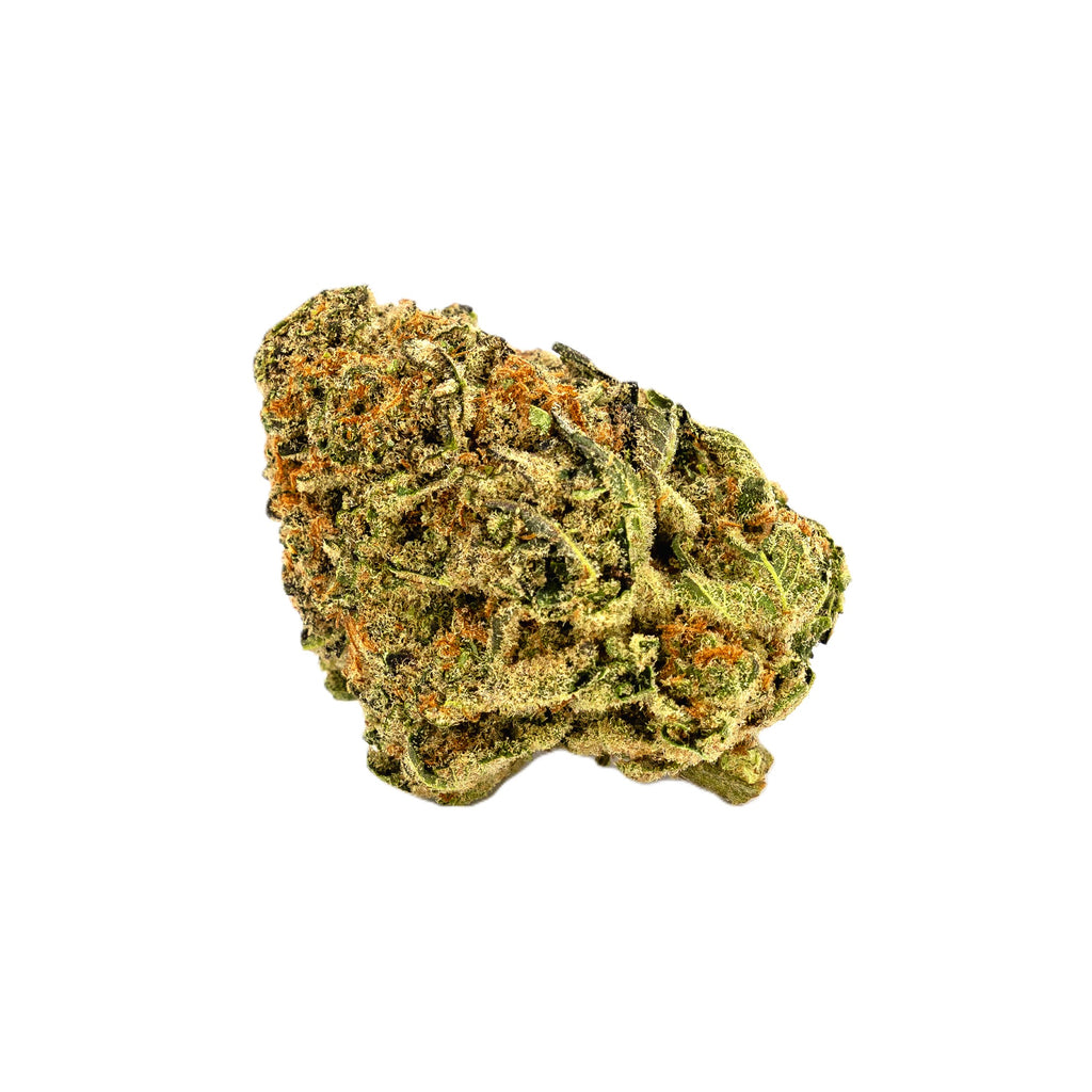 Mimosa